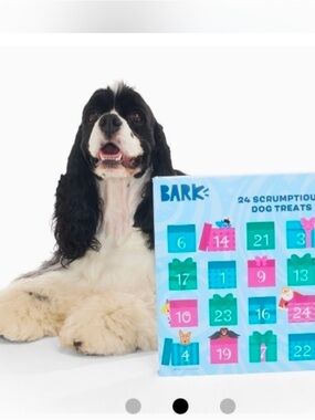 BARK Pink and Teal Dog Treat Advent Calendar
